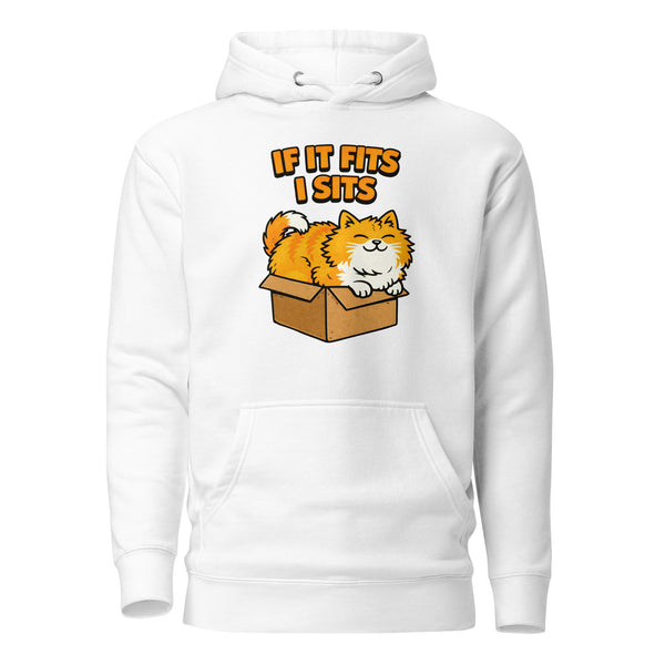 If It Fits I Sits Cat Hoodie – Funny Lazy Cat Meme Hoodie, Cute Kitty Sitting in Box Sweatshirt, Cozy Unisex Pet Lover Graphic Hoodie Gift